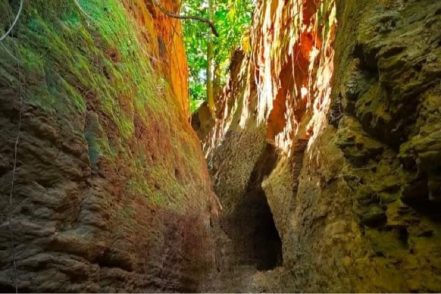 🌴 Darianagar Cave Tour Package