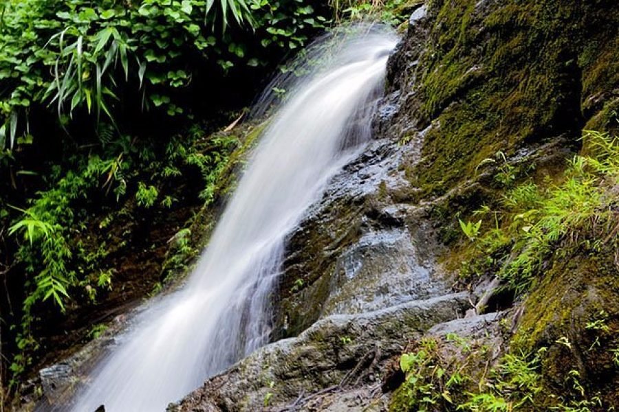 Himchori Tour Package