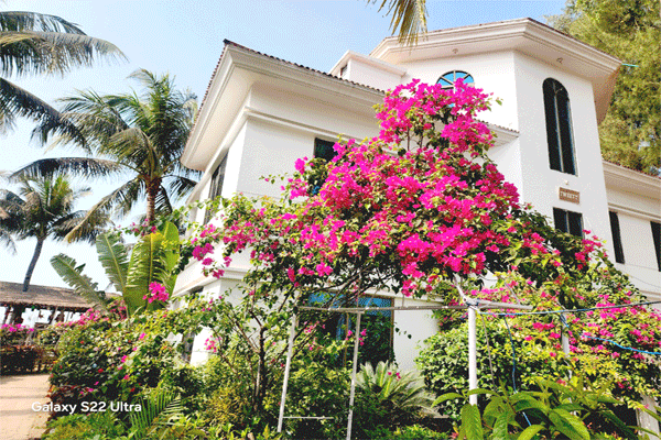 Couple Bedroom(Forget-me-not Building 2nd Floor)